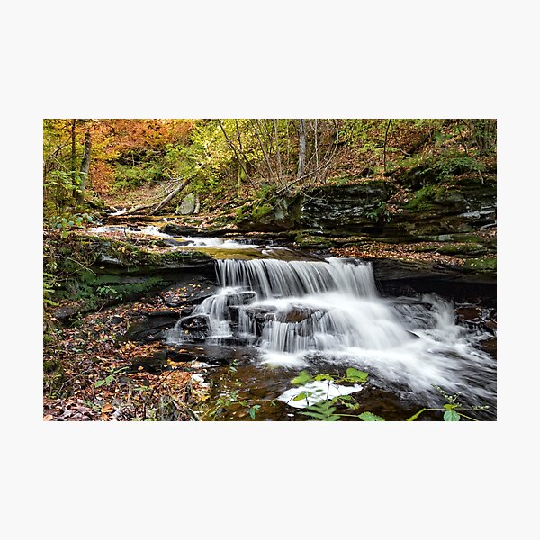 Unnamed Falls at Ricketts Glen SP Photographic Print