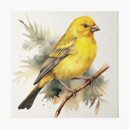 gbrf,10x10,f,540x540-pad,