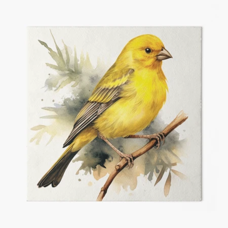 てぃんくる　版画　YELLOW CANARY アールビバン てぃんくる 版画 YELLOW CANARY アールビバン