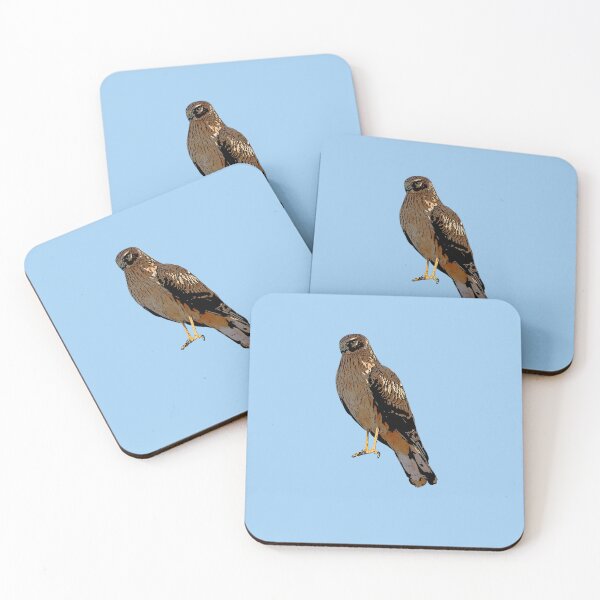 Item preview, Northern Harrier Marsh Hawk Perched Color Design  designed and sold by designsasstultd.