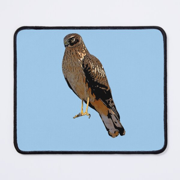 Item preview, Northern Harrier Marsh Hawk Perched Color Design designed and sold by designsasstultd.