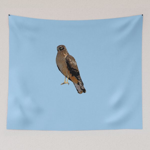 Item preview, Northern Harrier Marsh Hawk Perched Color Design  designed and sold by designsasstultd.