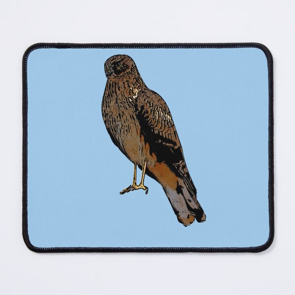 Item preview, Northern Harrier Marsh Hawk Perched Black Alternate Design designed and sold by designsasstultd.