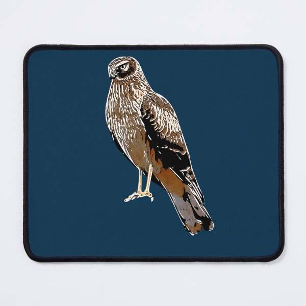 Item preview, Northern Harrier Marsh Hawk Perched White Alternate Design designed and sold by designsasstultd.