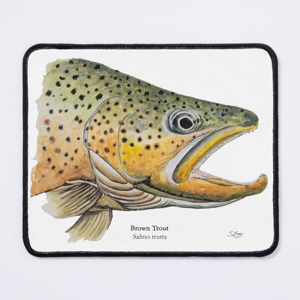 Item preview, Brown Trout Head Painting designed and sold by Stephen Emms.
