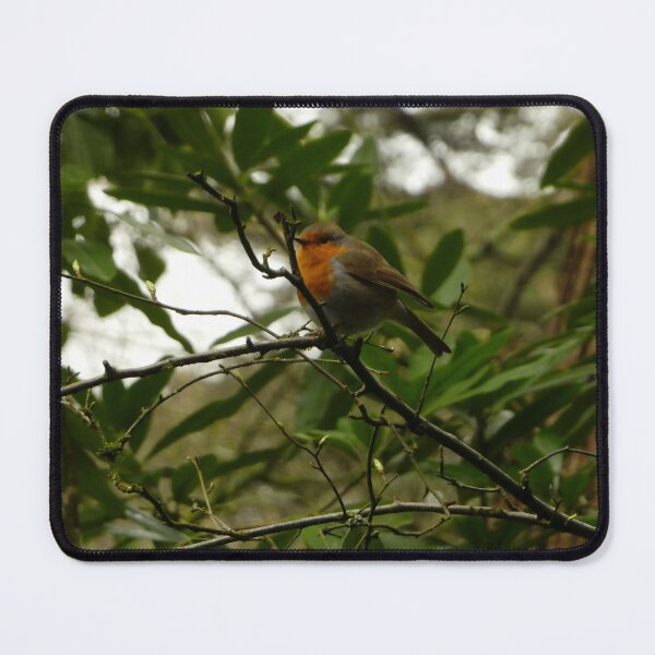 Item preview, robin designed and sold by aimeephilips.