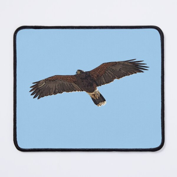 Item preview, Harris' Hawk Color Design  designed and sold by designsasstultd.