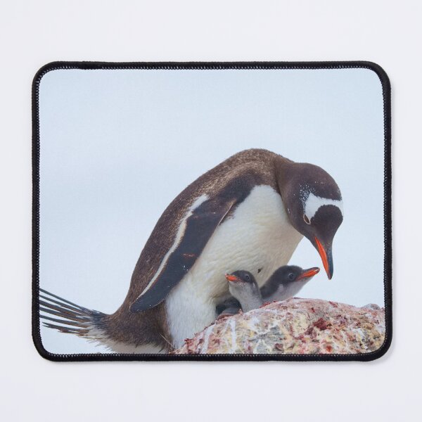 Item preview, PENGUIN FAMILY designed and sold by adumont1.