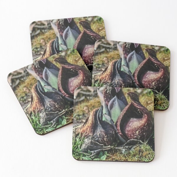 Item preview, Swamp Succulent designed and sold by CasaFortis.