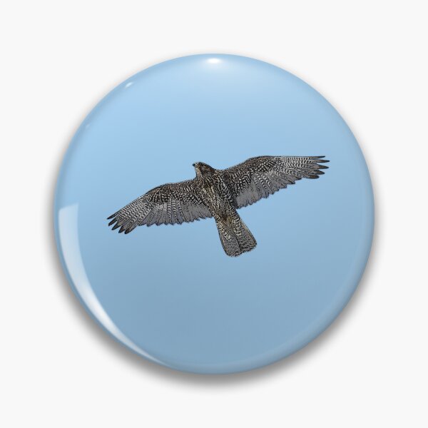 Item preview, Gyrfalcon Color Design  designed and sold by designsasstultd.