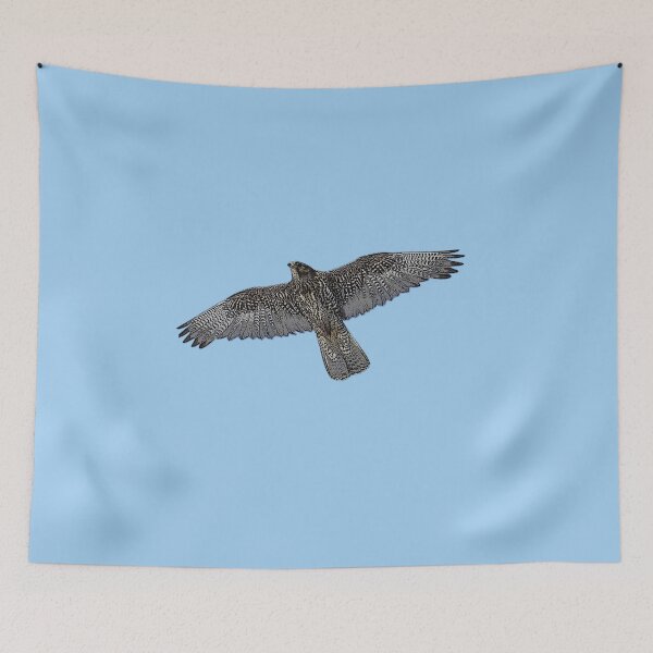 Item preview, Gyrfalcon Color Design  designed and sold by designsasstultd.