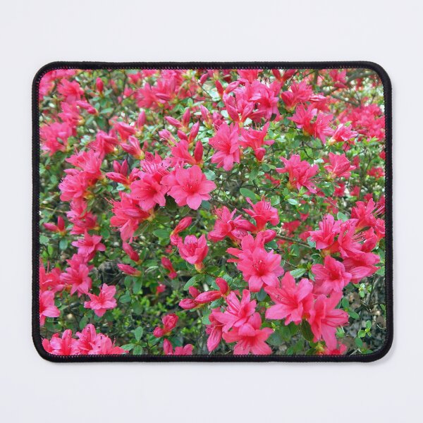 Item preview, Red Azalea Bush designed and sold by gistinker.