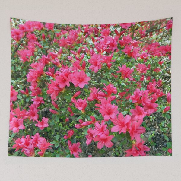 Item preview, Red Azalea Bush designed and sold by gistinker.