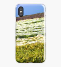 Vineyard iPhone Case