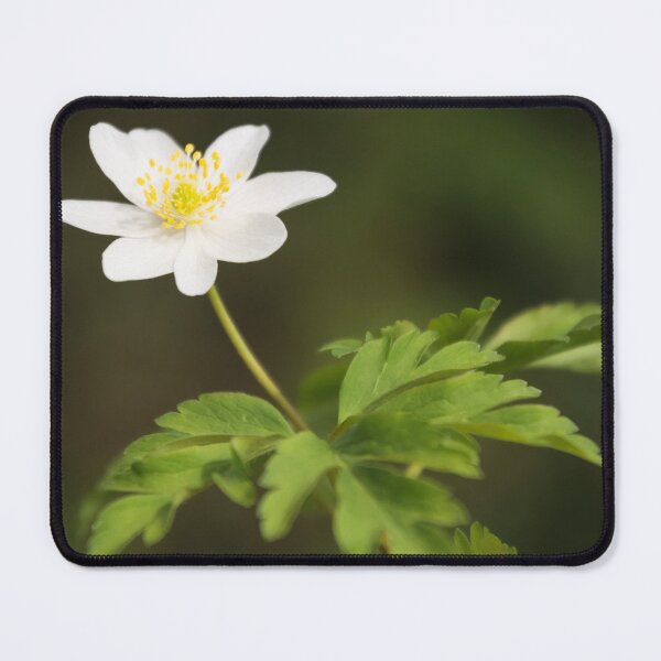 Item preview, Wood Anemone designed and sold by JEZ22.