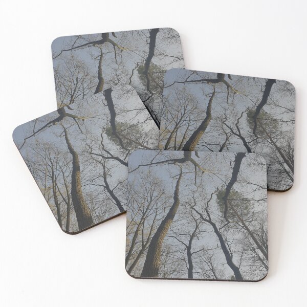 Item preview, photo of trees in the forest designed and sold by TomVtX.