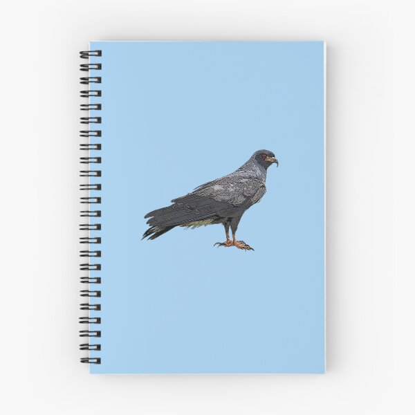 Item preview, Everglade Snail Kite Color Design  designed and sold by designsasstultd.