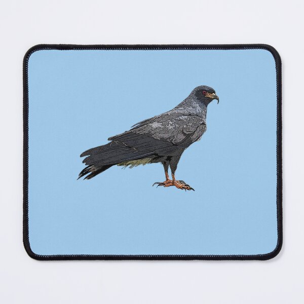 Item preview, Everglade Snail Kite Color Design  designed and sold by designsasstultd.