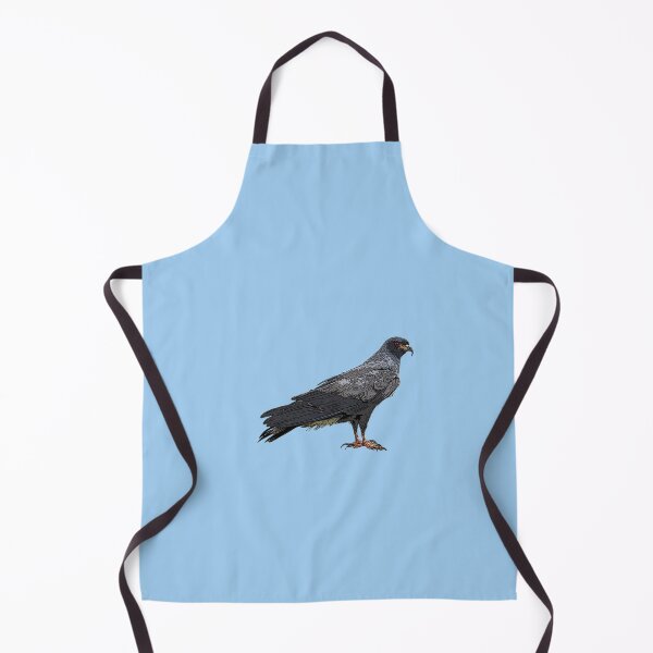 Artikelvorschau, Everglade Snail Kite Farbdesign entworfen und verkauft von designsasstultd.