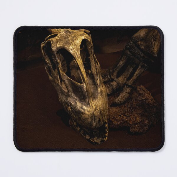 Item preview, Dinosaur Skeleton in the Shadows designed and sold by jrtwynam.