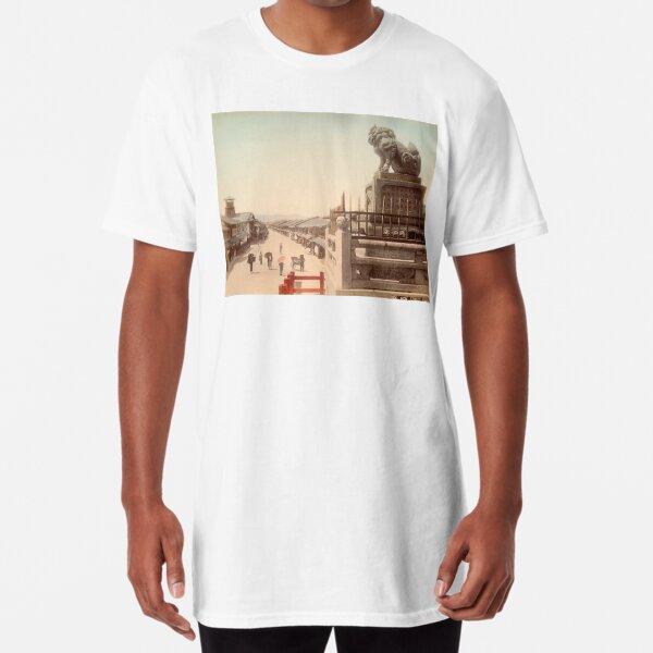 Looking down the famous Shijo Dori, Gion, Kyoto, Japan Long T-Shirt