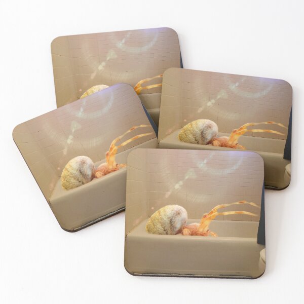 Item preview, A Spider Bath designed and sold by PinkysArtnBugs.