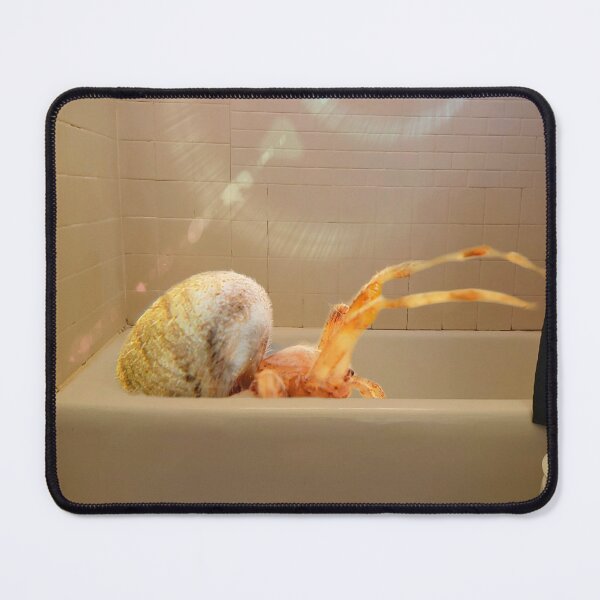 Item preview, A Spider Bath designed and sold by PinkysArtnBugs.