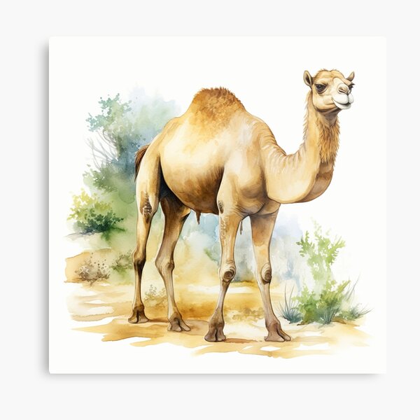 Item preview, Watercolor Camel designed and sold by TheAnimalZ00.
