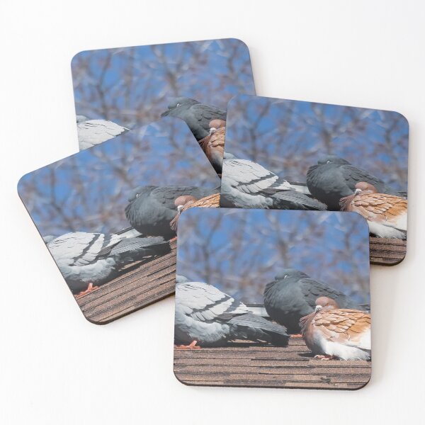 Item preview, Pigeons On The Roof designed and sold by passion4photos.