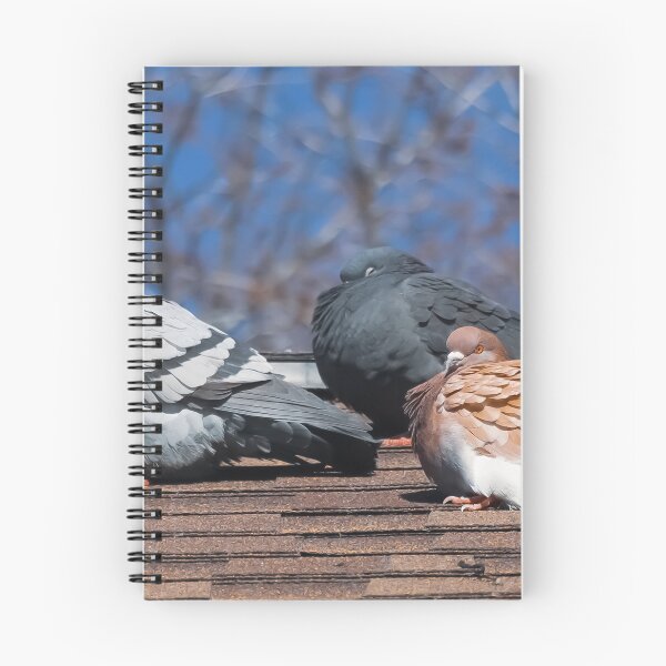 Item preview, Pigeons On The Roof designed and sold by passion4photos.