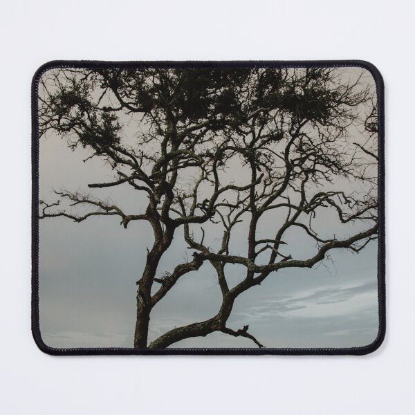 Item preview, Driftwood Beach Tree designed and sold by LindsayVTravels.
