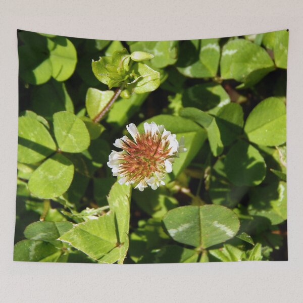 Item preview, Early Bloom White Clover designed and sold by gistinker.