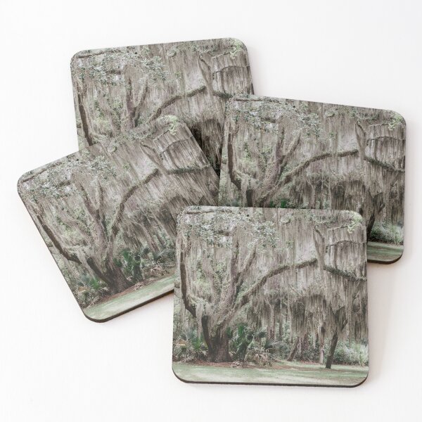 Item preview, tree trunk in the forest designed and sold by LindsayVTravels.