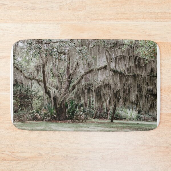 Item preview, tree trunk in the forest designed and sold by LindsayVTravels.