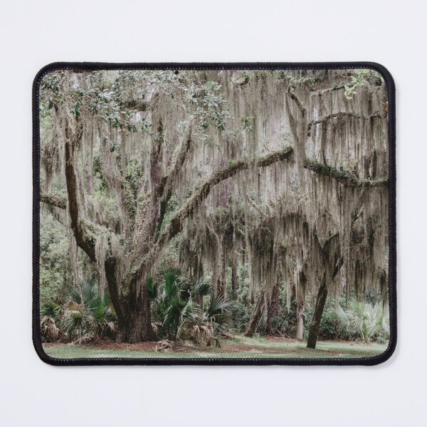 Item preview, tree trunk in the forest designed and sold by LindsayVTravels.
