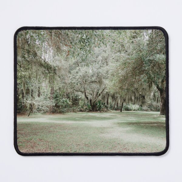 Item preview, path in the park designed and sold by LindsayVTravels.