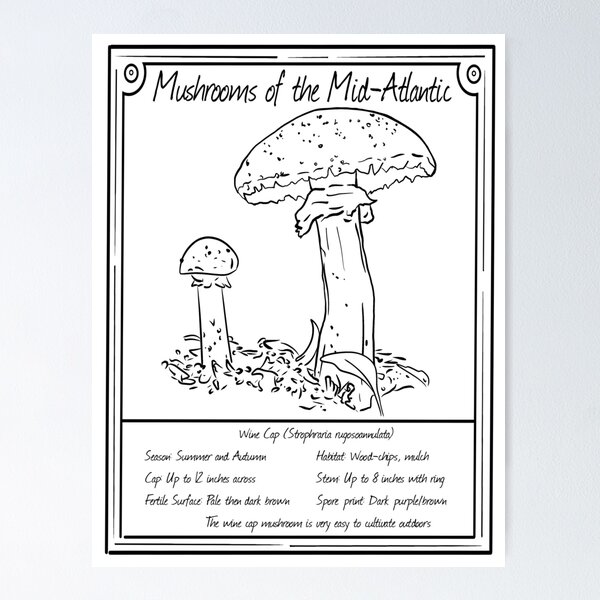 Item preview, Mushrooms of the Mid-West Coloring Page: Wine Cap Mushroom designed and sold by Cherie Brunetti.