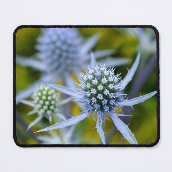 Item preview, Elegant Thistle Flower - Botanical Art Print designed and sold by lloreleya.