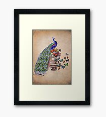 Vintage Peacock Beauty Framed Print