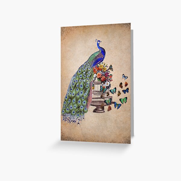 Vintage Peacock Beauty Greeting Card
