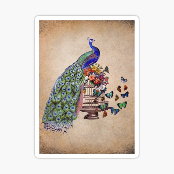 Vintage Peacock Beauty Sticker