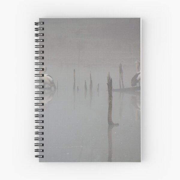 Item preview, Pelicans in the fog. designed and sold by Ian Ramsay.