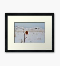 Winter flower Framed Print