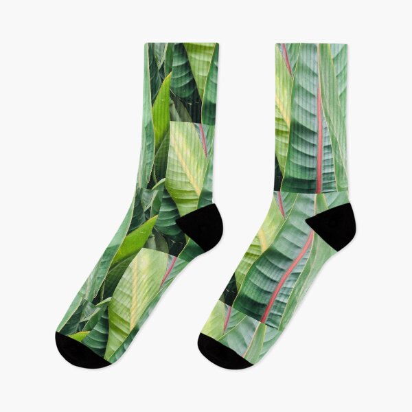 Item preview, Strelitzia Leaves designed and sold by adamcopping.