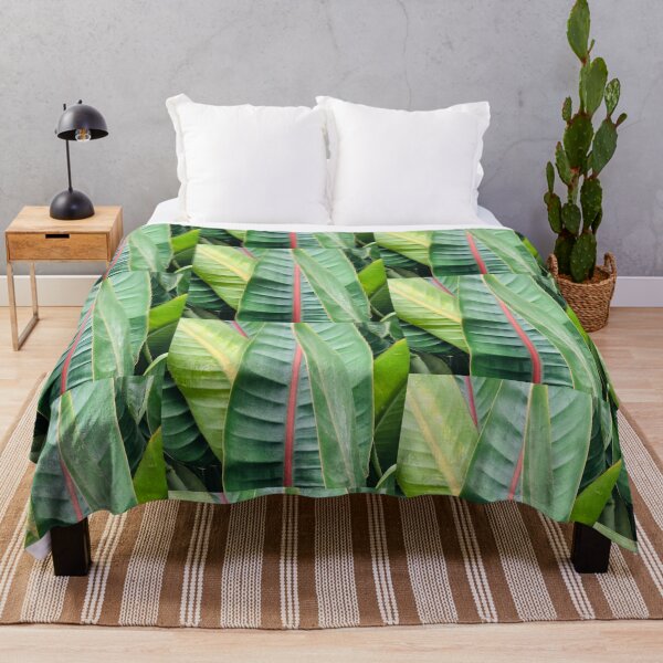 Item preview, Strelitzia Leaves designed and sold by adamcopping.