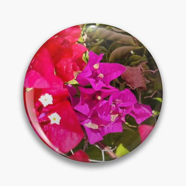 Aperçu de l'œuvre  Plaisir floral au soleil créée et vendue par MissTascha.