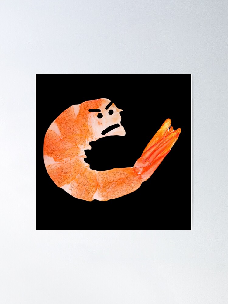 ドローイング『THE MAD SHRIMP』
