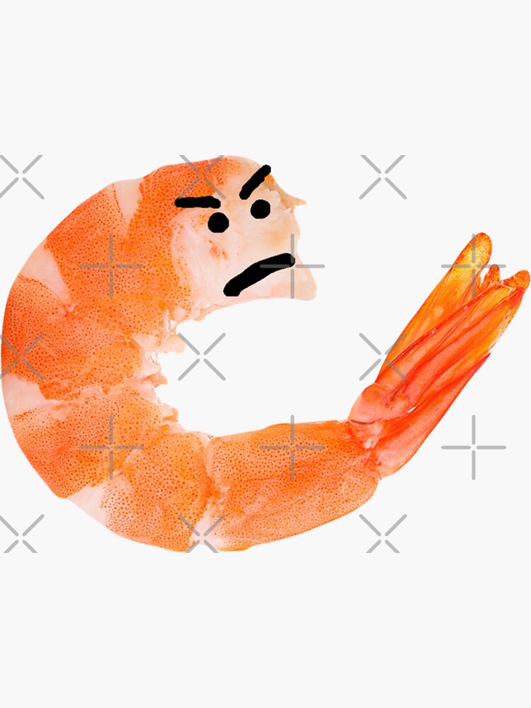ドローイング『THE MAD SHRIMP』 ドローイング『THE MAD SHRIMP』