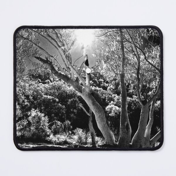 Item preview, Sunshine thru the Gumtrees! designed and sold by Mickangelhere.