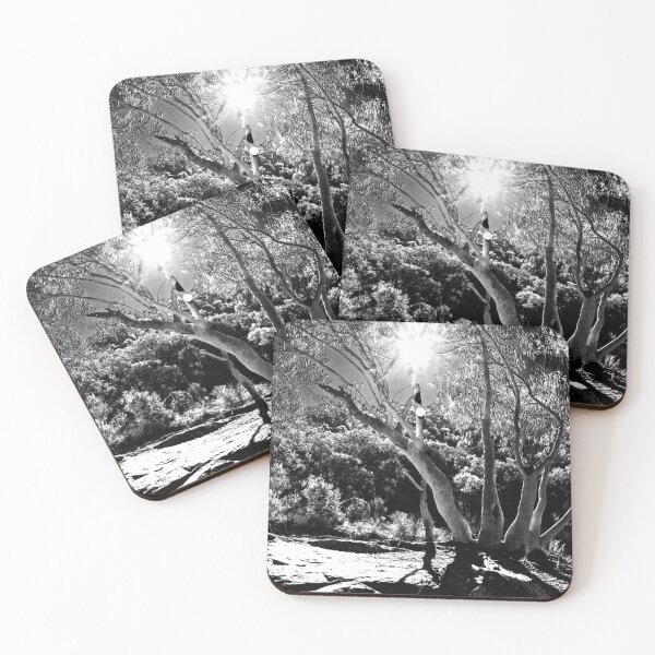 Item preview, Sunshine thru the Gumtrees! designed and sold by Mickangelhere.